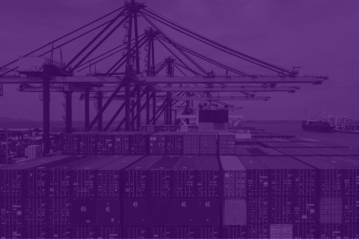 Por que automatizar a liberação de carga na importação?